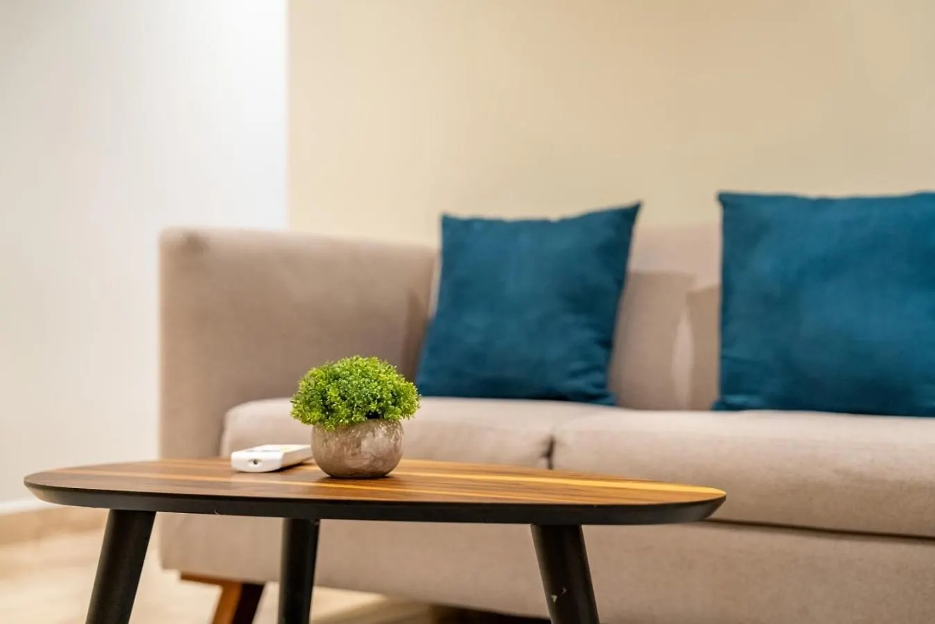 Musa Del Carmen- Modern 5Th Avenue Apt W/ Rooftop Playa del Carmen 0*,