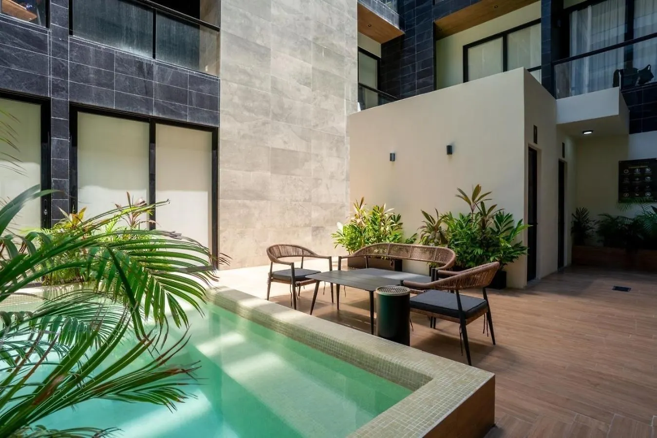 Apartmán Musa Del Carmen- Modern 5Th Avenue Apt W/ Rooftop Playa del Carmen Mexiko