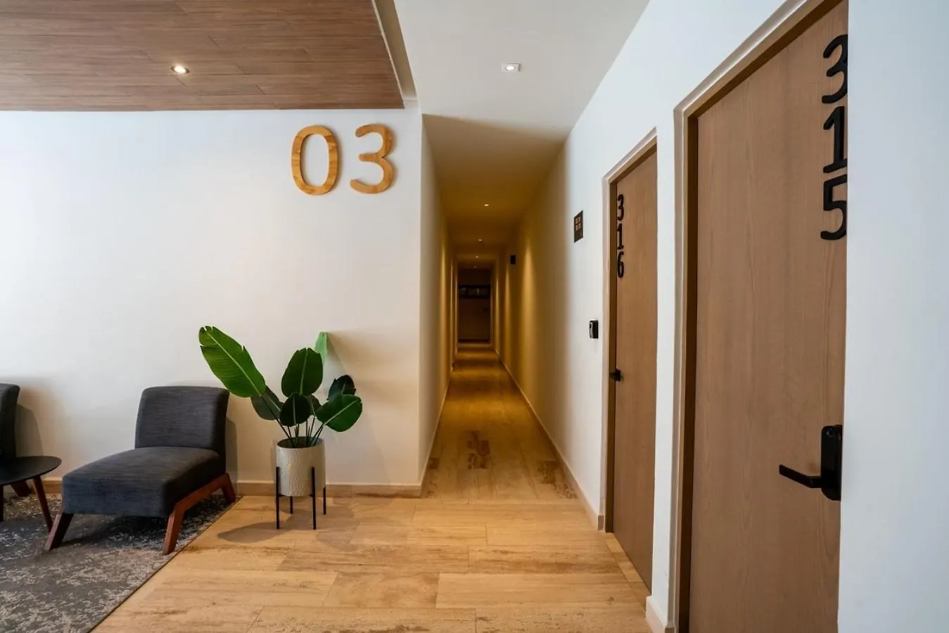 Apartamento Musa Del Carmen- Modern 5Th Avenue Apt W/ Rooftop Playa del Carmen