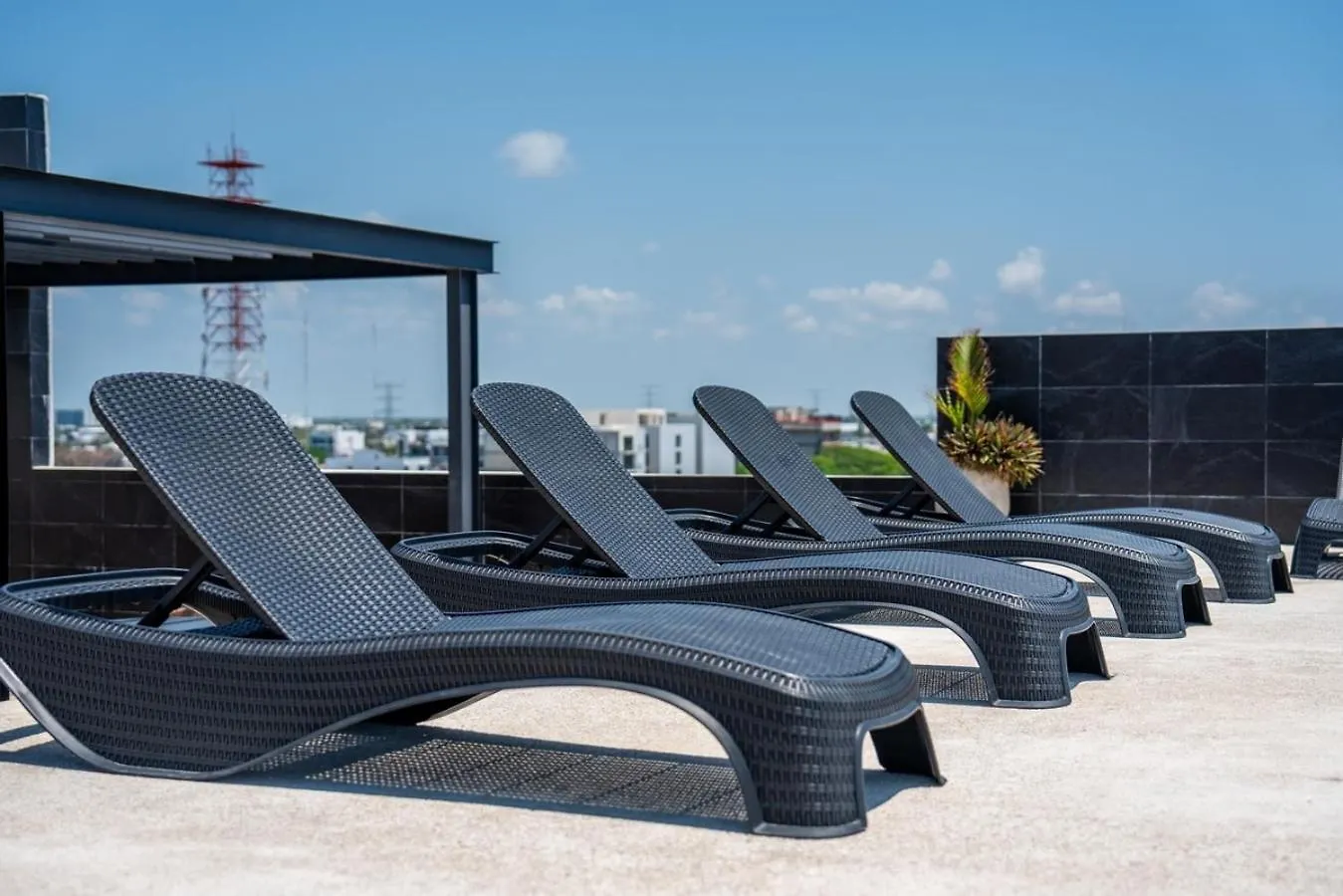 Apartamento Musa Del Carmen- Modern 5Th Avenue Apt W/ Rooftop Playa del Carmen