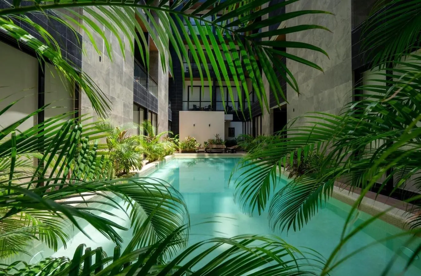 Apartamento Musa Del Carmen- Modern 5Th Avenue Apt W/ Rooftop Playa del Carmen