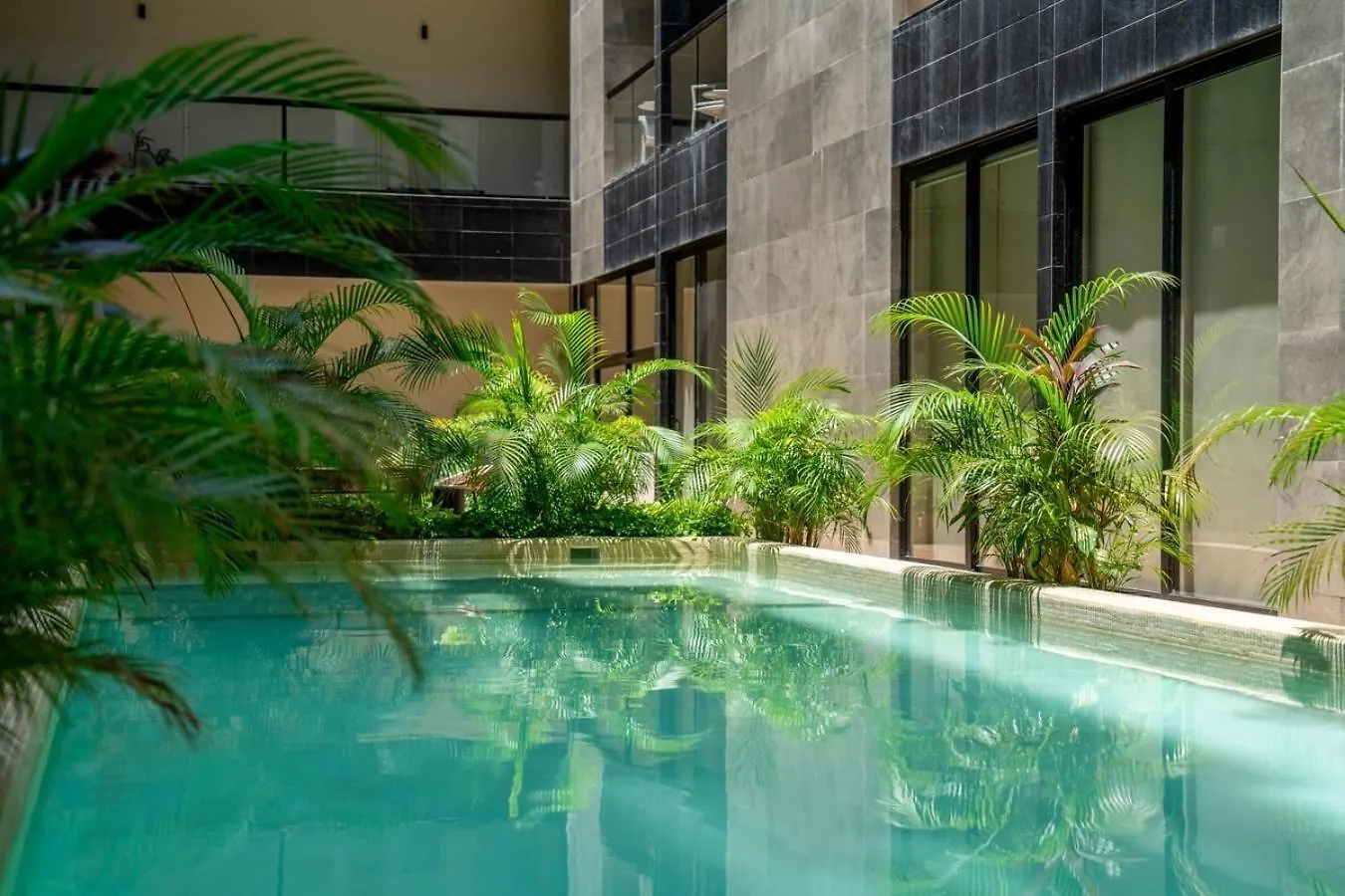 Musa Del Carmen- Modern 5Th Avenue Apt W/ Rooftop Playa del Carmen 0*,  México